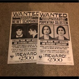 Fantastic Beasts Wanted Posters